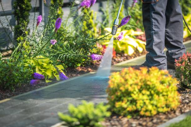 Best Sidewalk and Walkway Cleaning  in Northford, CT